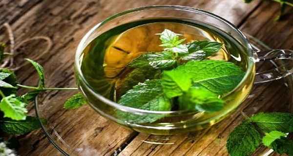 تصویر 1 از قیمت خرید عرقیات گیاهی اصل + فروش ویژه